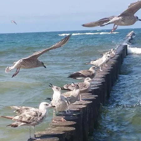 Royal Maris Apartments: Ustka, Near & Port *