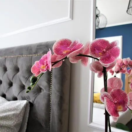 Royal Maris Apartments: Ustka, Near & Port