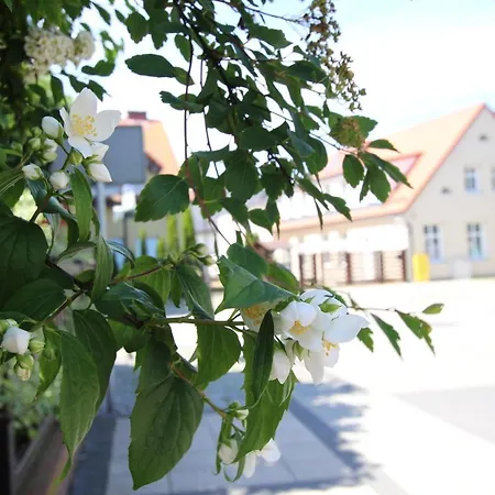 Royal Maris Apartments: Ustka, Near & Port Ustka